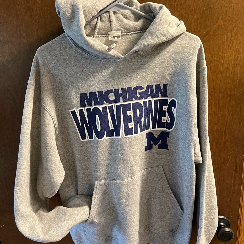 Gray Michigan Wolverines Hoodie